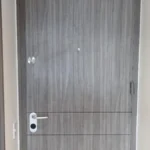 puerta seguridad lisa gris